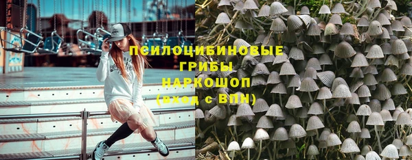 твердый Алексеевка